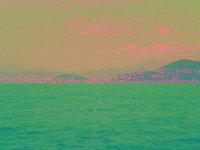 IMGP2659 edited (Medium)